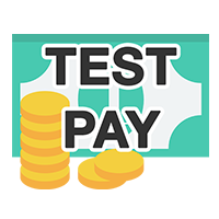 Test payment